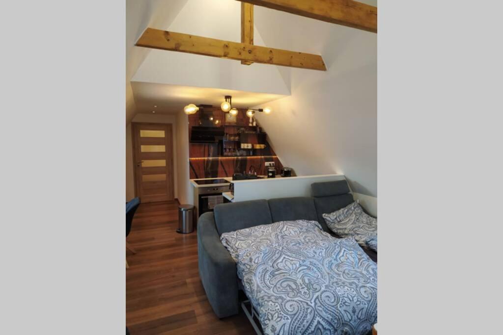 Apartman Atelier Vary V Nove Zrekonstruovanem Dome Karlovy Vary Exterior photo